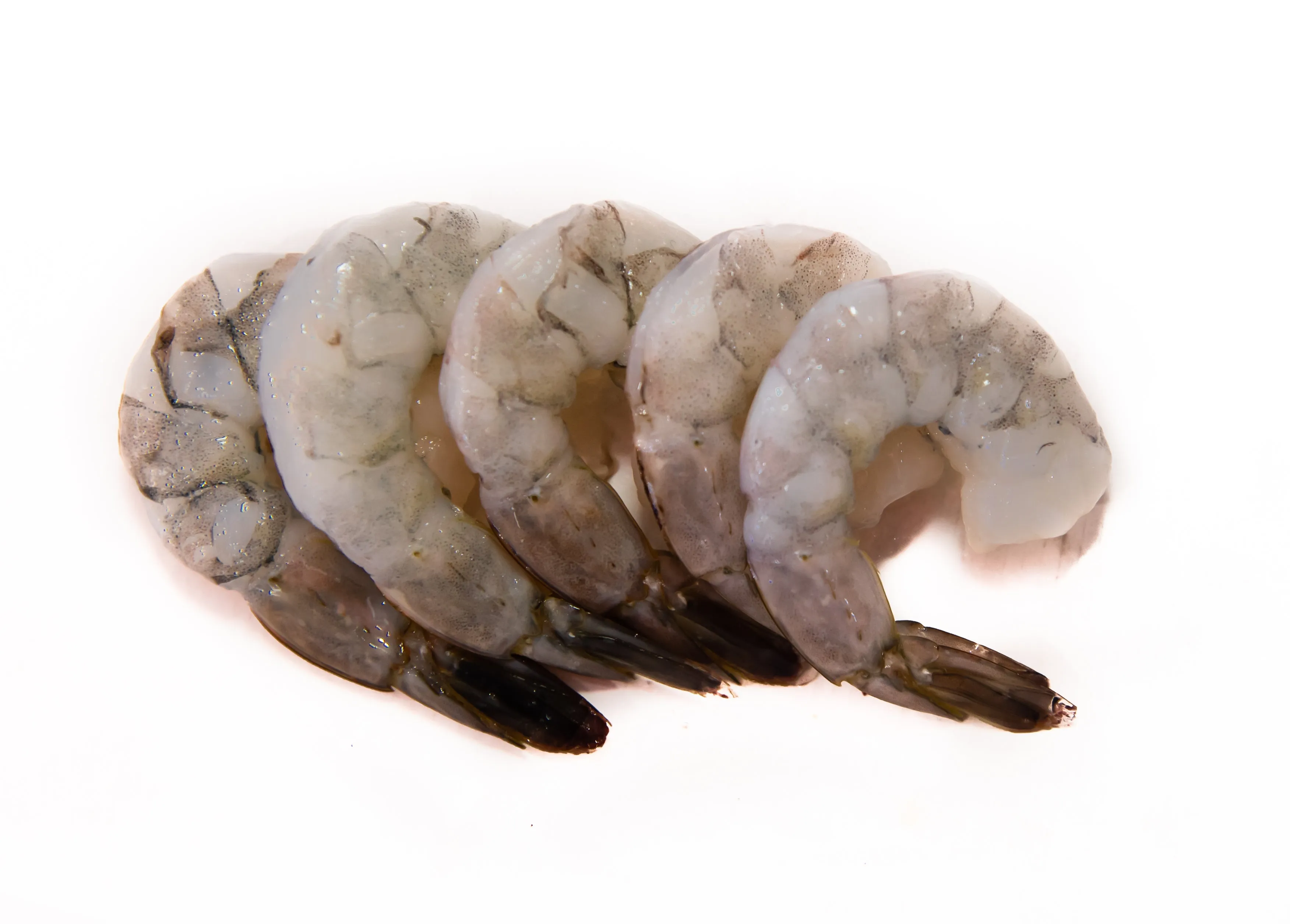 Australian Fresh Green Peeled Prawns