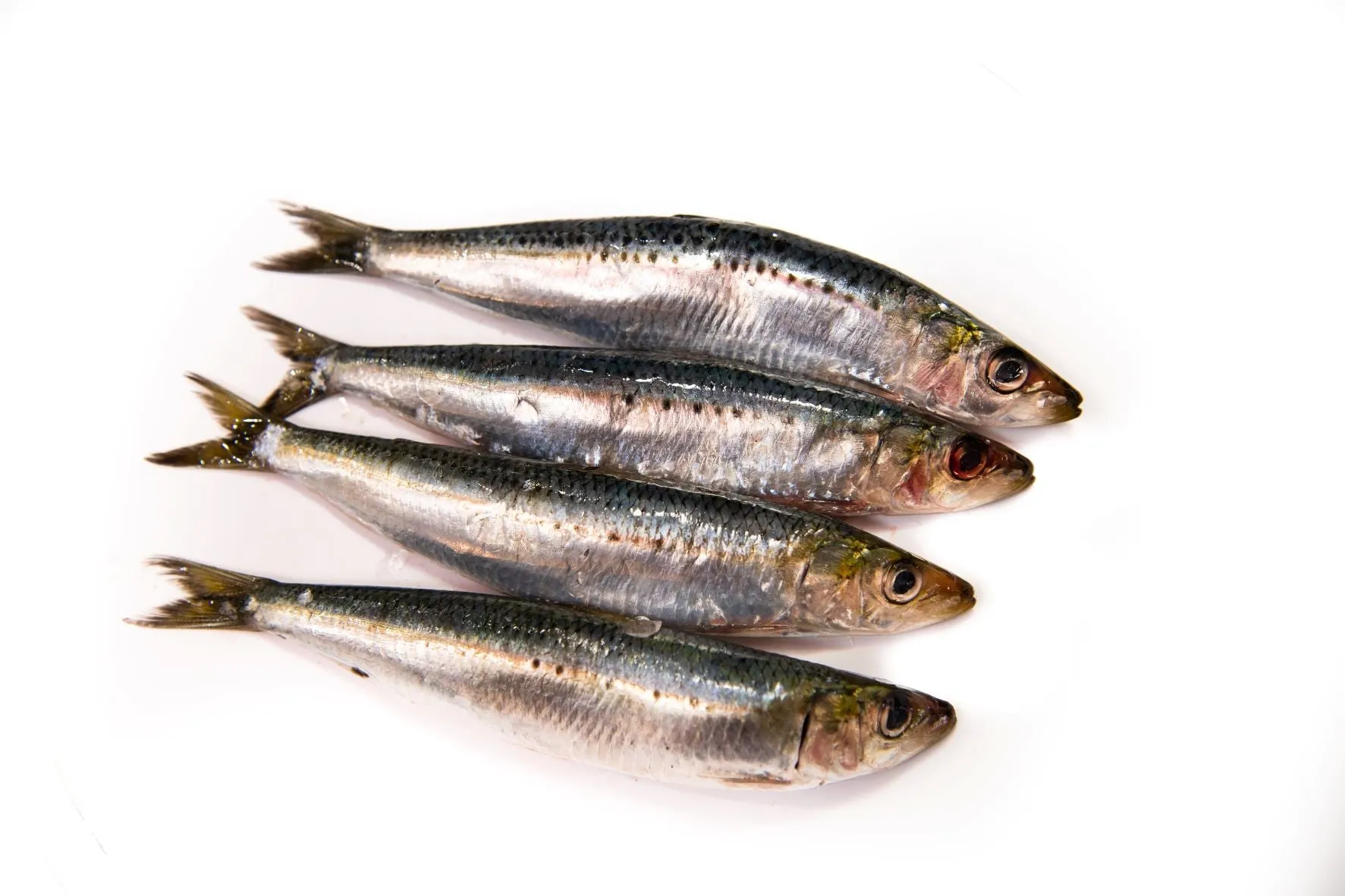 Australian Fresh Sardines (whole)