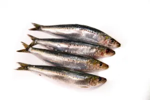 Australian Fresh Sardines (whole)
