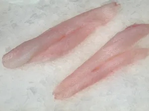 Australian Star Gazer Fillet