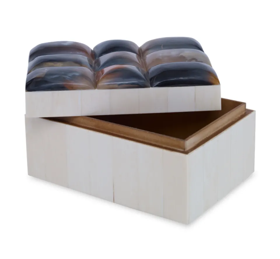 Bone & Horn Bubble Box