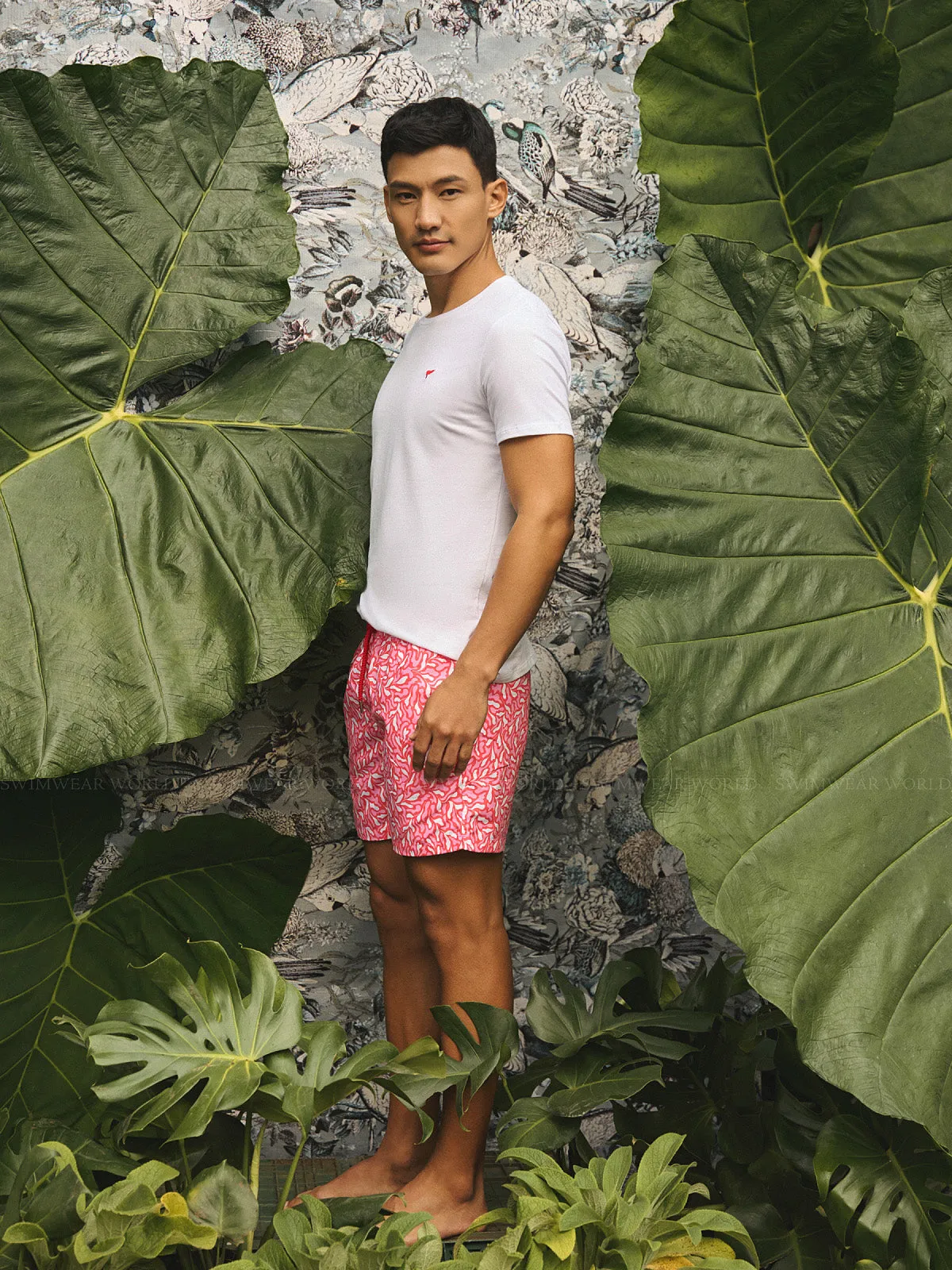 Bora Bora Shorts