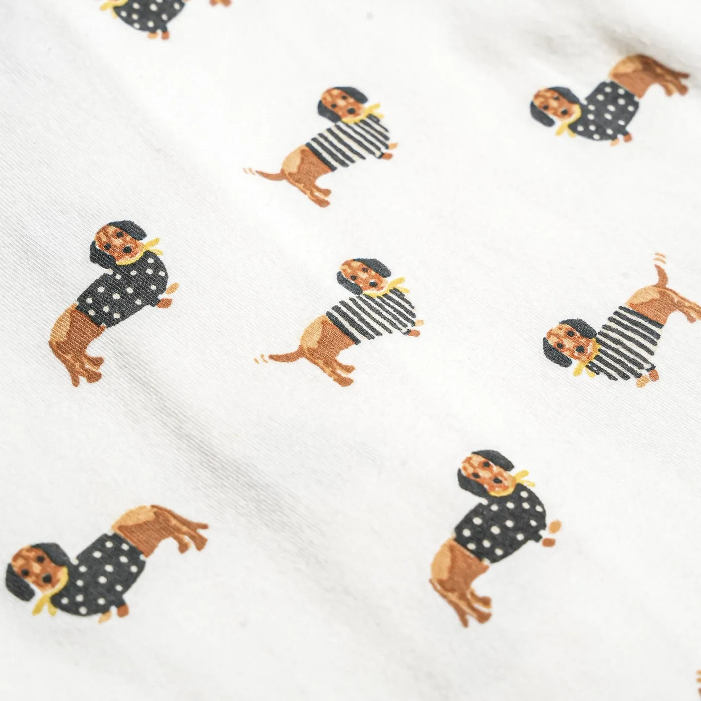 Dog Printed Relaxed Tee & Shorts Set