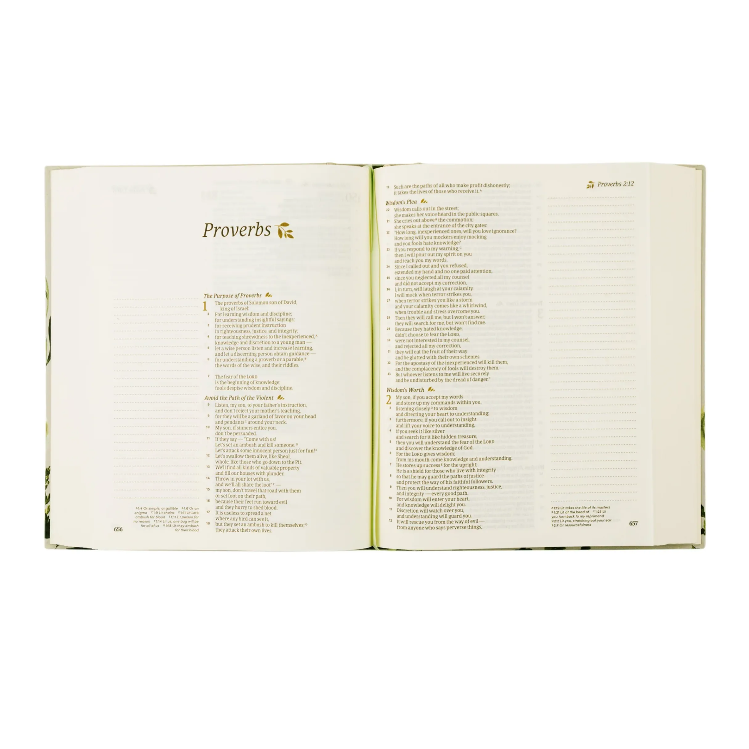 Dorset CSV Notetaking Bible
