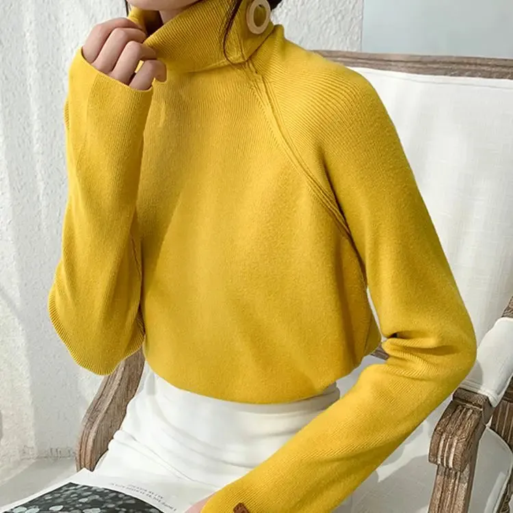 Elegant Turtleneck Sweater