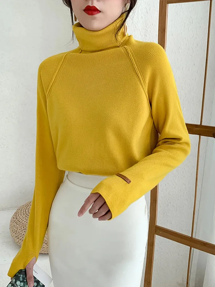 Elegant Turtleneck Sweater