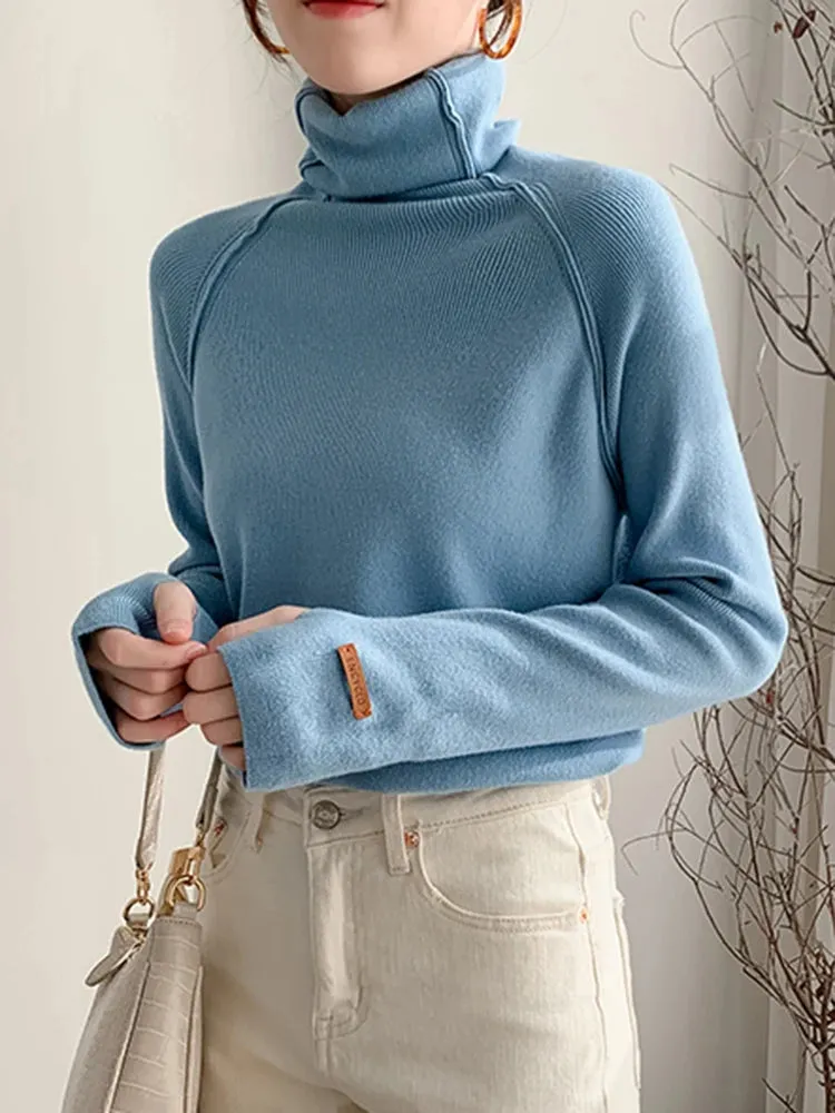 Elegant Turtleneck Sweater