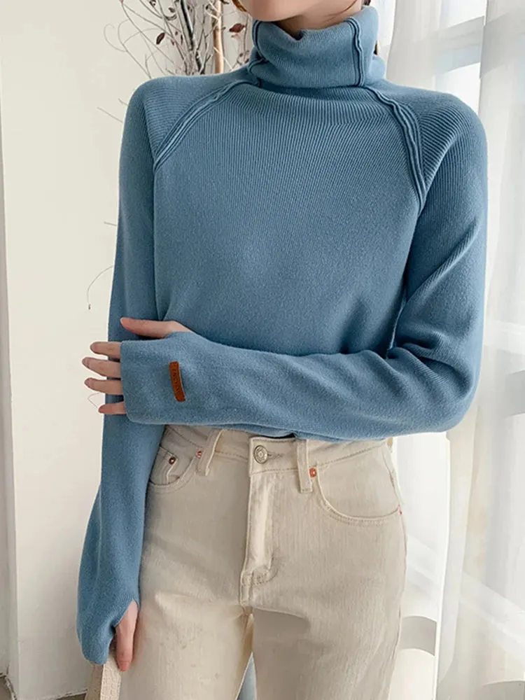 Elegant Turtleneck Sweater