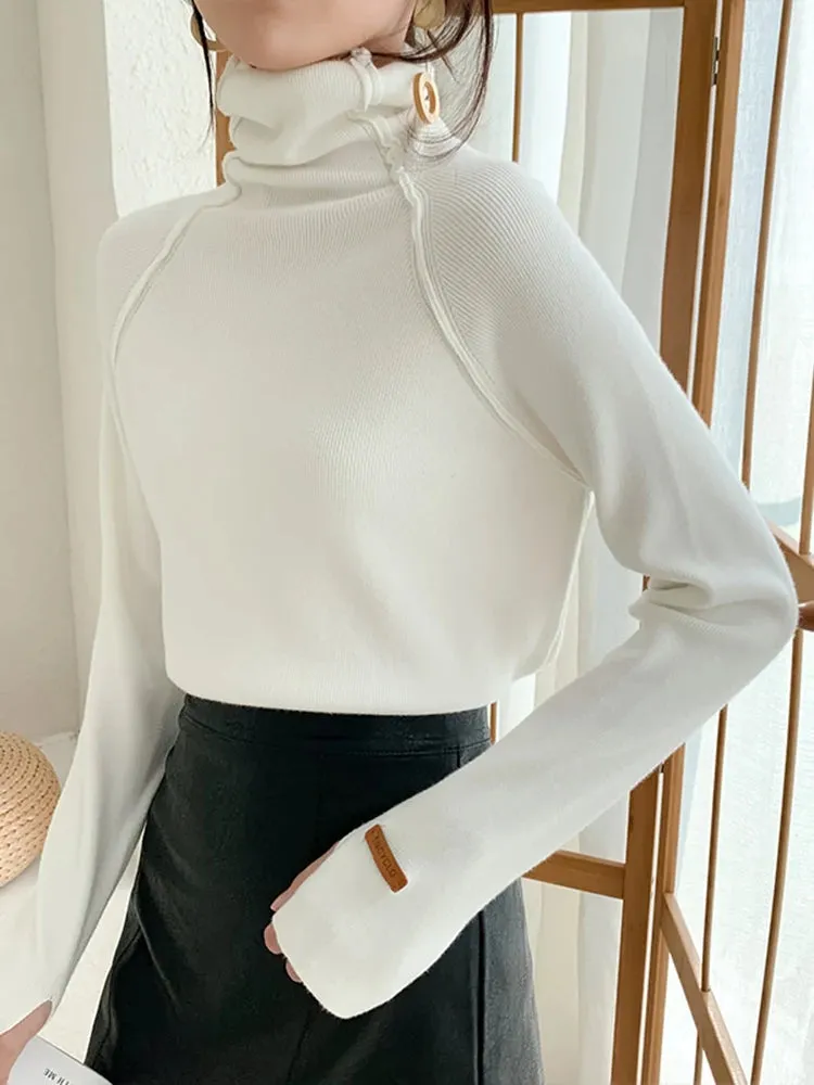 Elegant Turtleneck Sweater