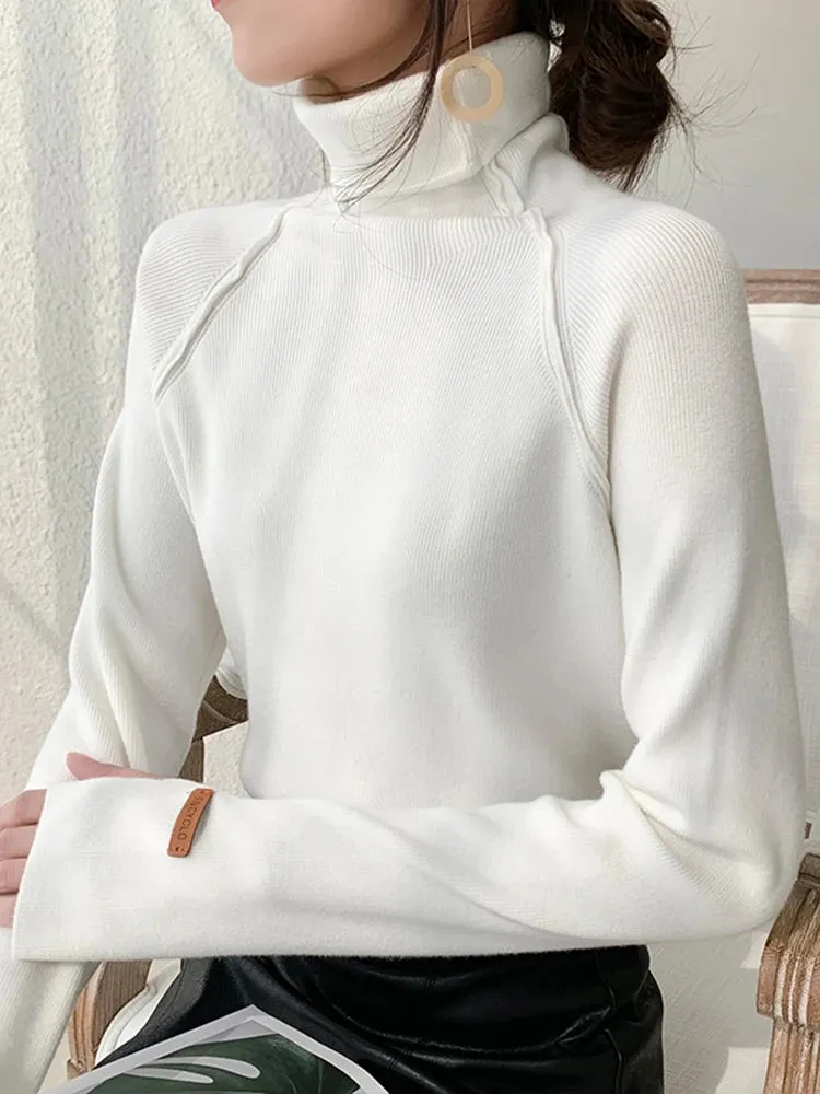Elegant Turtleneck Sweater