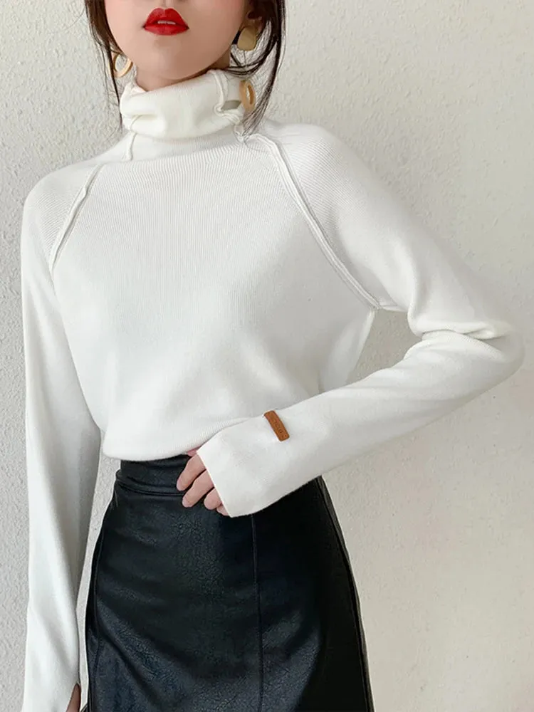 Elegant Turtleneck Sweater
