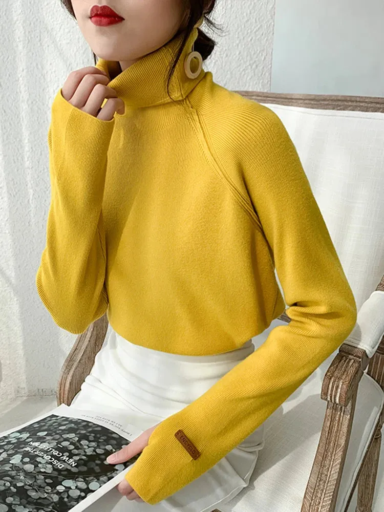 Elegant Turtleneck Sweater