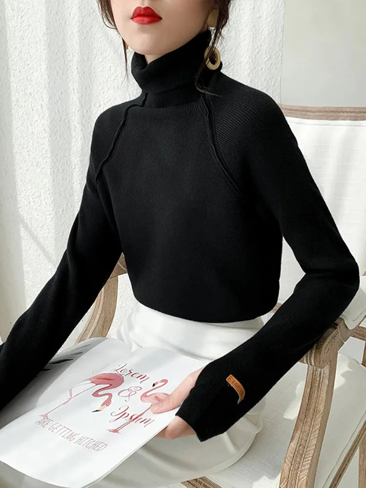 Elegant Turtleneck Sweater