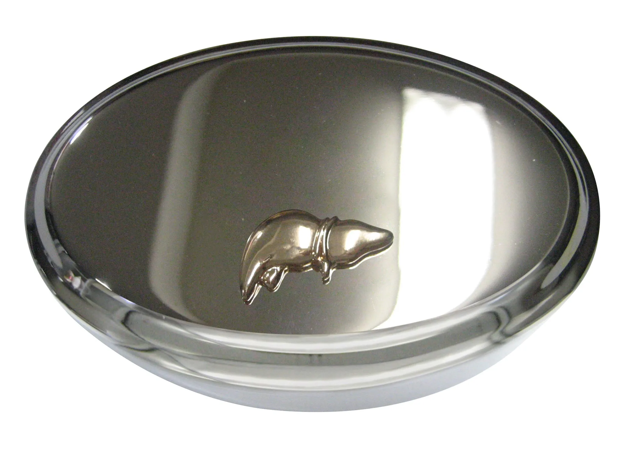 Gold Toned Anatomical Medical Hepatologist Liver Oval Trinket Jewelry Box