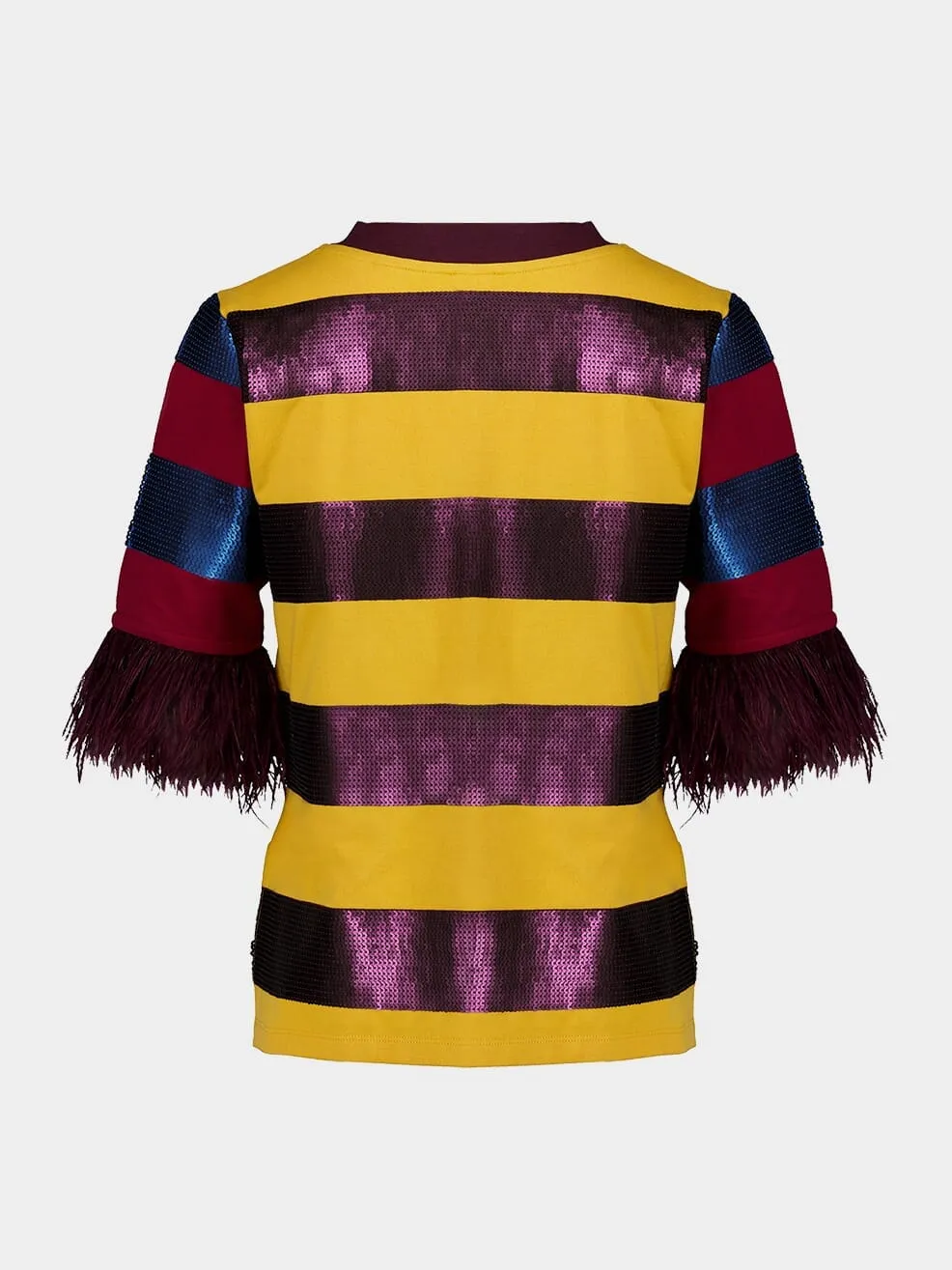 Lyra Sequin Embroidered Striped T-Shirt With Feathers
