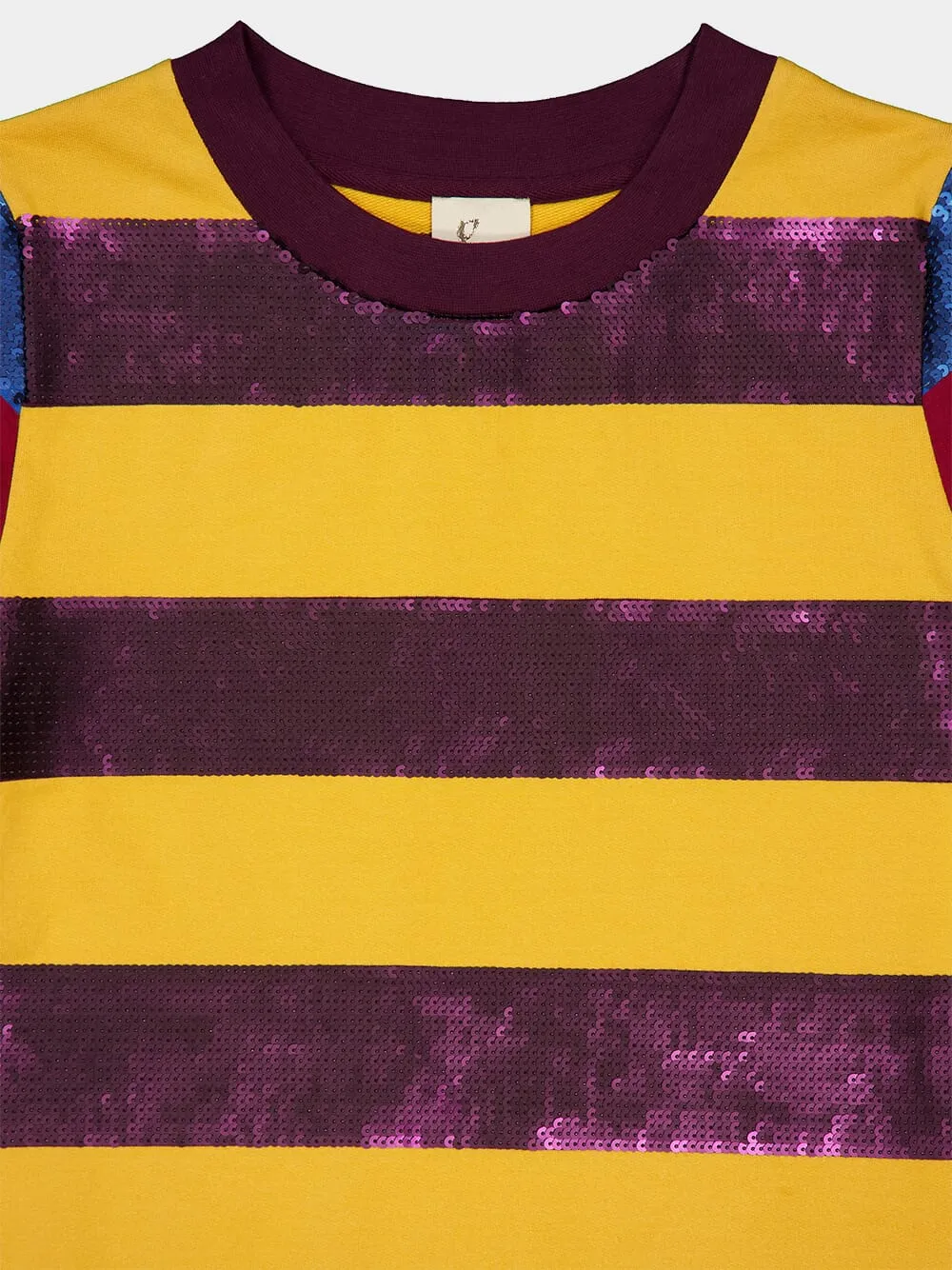 Lyra Sequin Embroidered Striped T-Shirt With Feathers