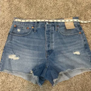 Madewell Relaxed Denim Shorts Curvy NWT