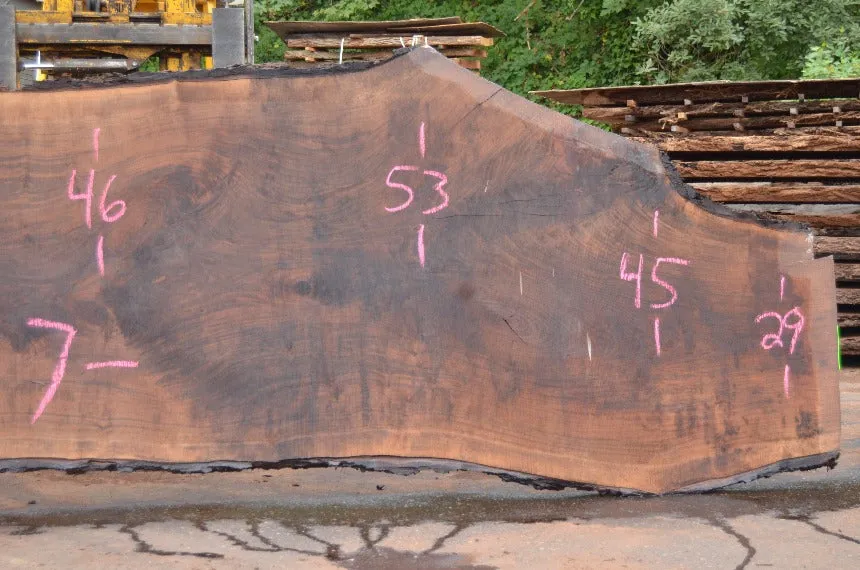 Oregon Black Walnut Slab 081922-06