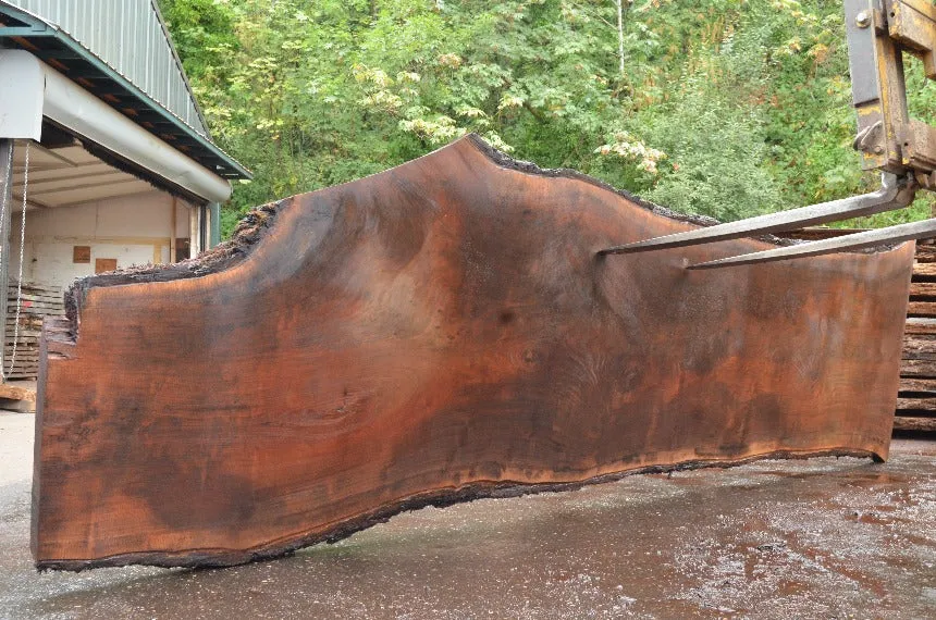 Oregon Black Walnut Slab 081922-06