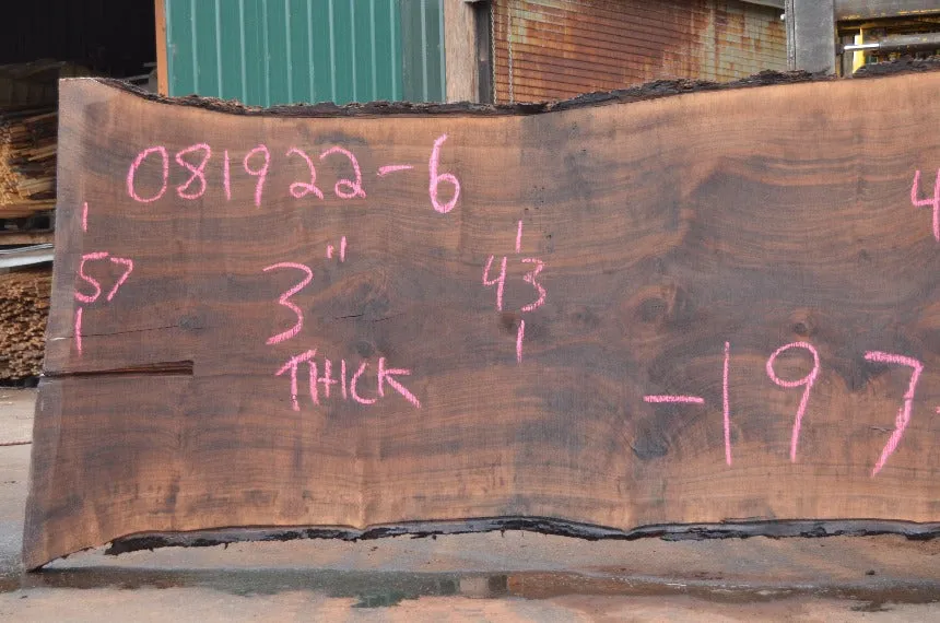Oregon Black Walnut Slab 081922-06