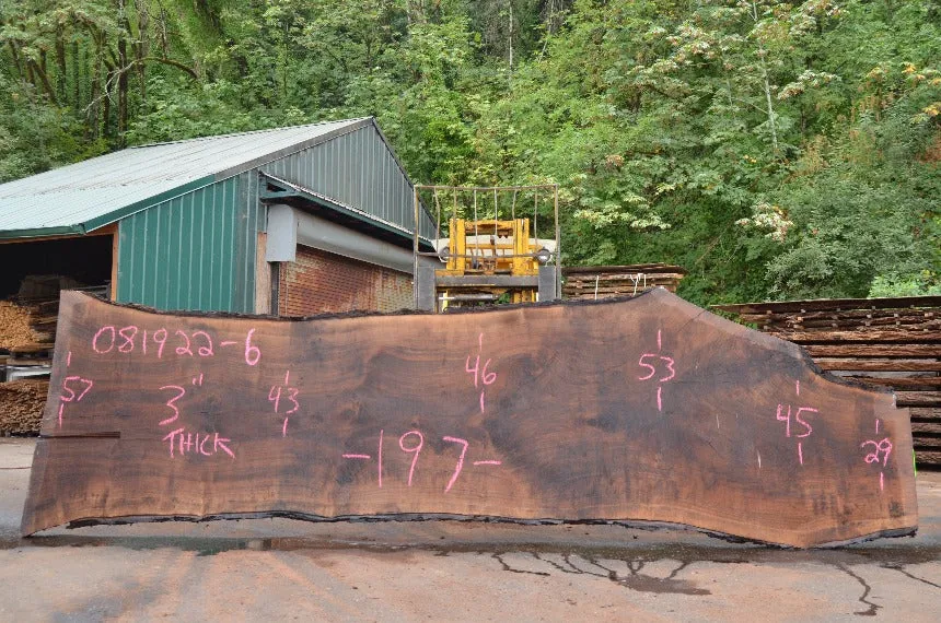 Oregon Black Walnut Slab 081922-06