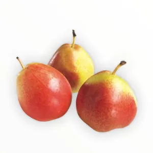 Pears 1kg