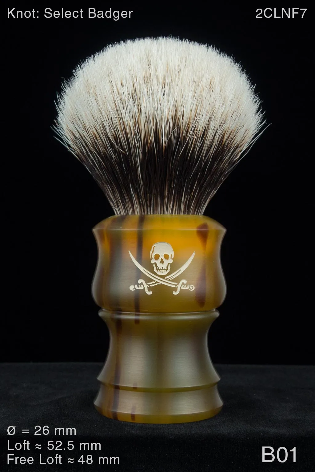 Pirate 26 mm Satin Tortoise