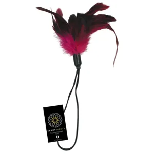 Pleasure Feather-Rose