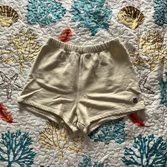 Teddy Fresh Shorts