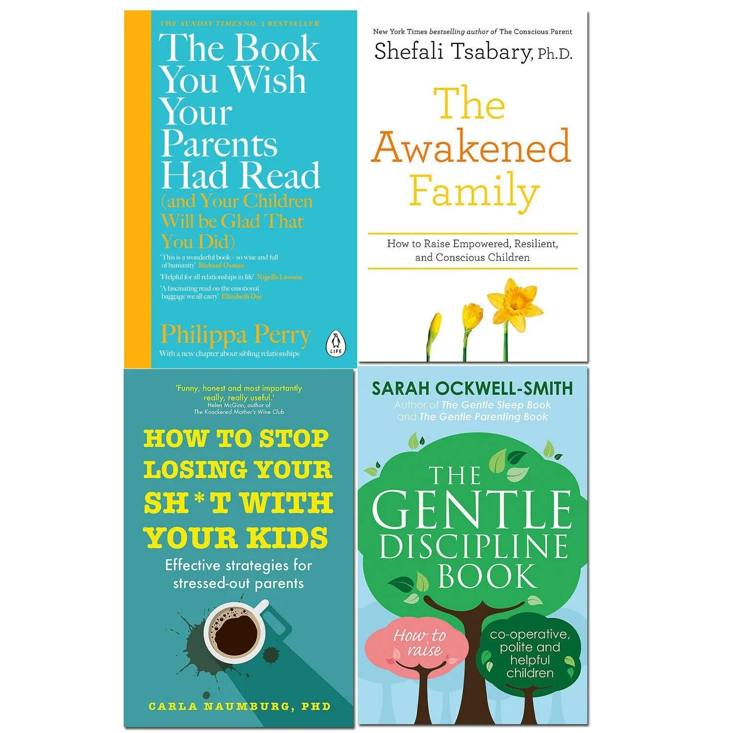 The Book You Wish Your Parents Had Read, How to Stop Losing Your Sh*t with Your Kid, The Awakened Family, The Gentle Discipline Book 4 Books Set