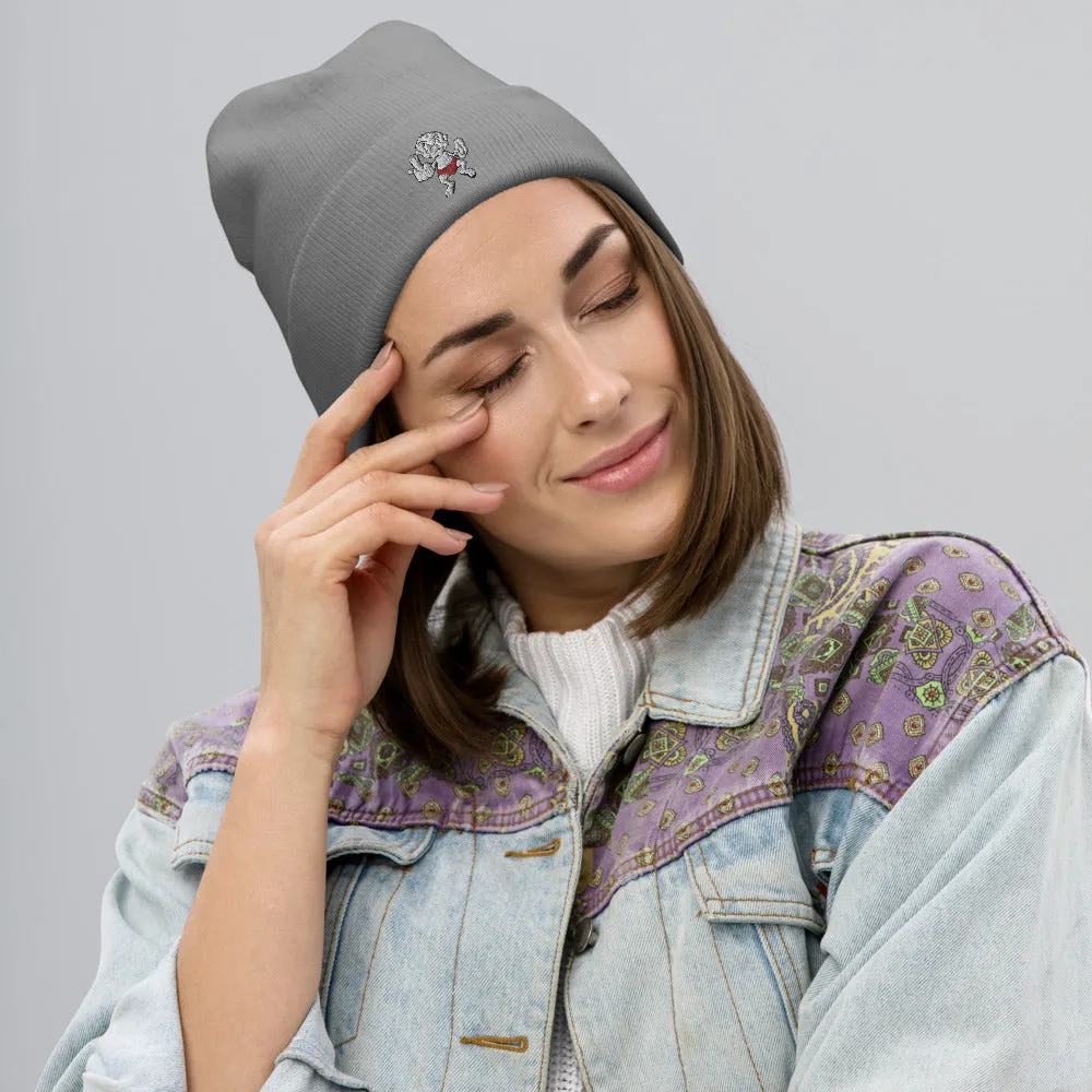 VIS LE Embroidered Beanie