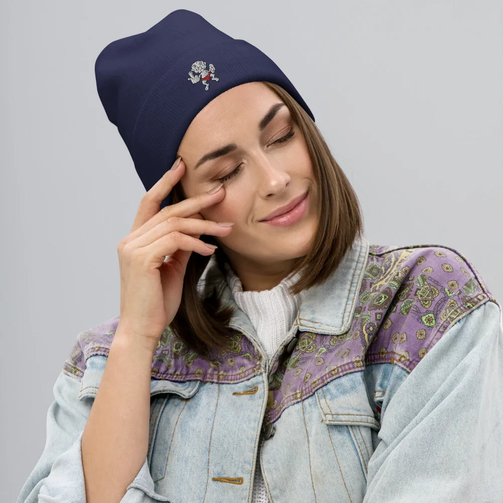 VIS LE Embroidered Beanie