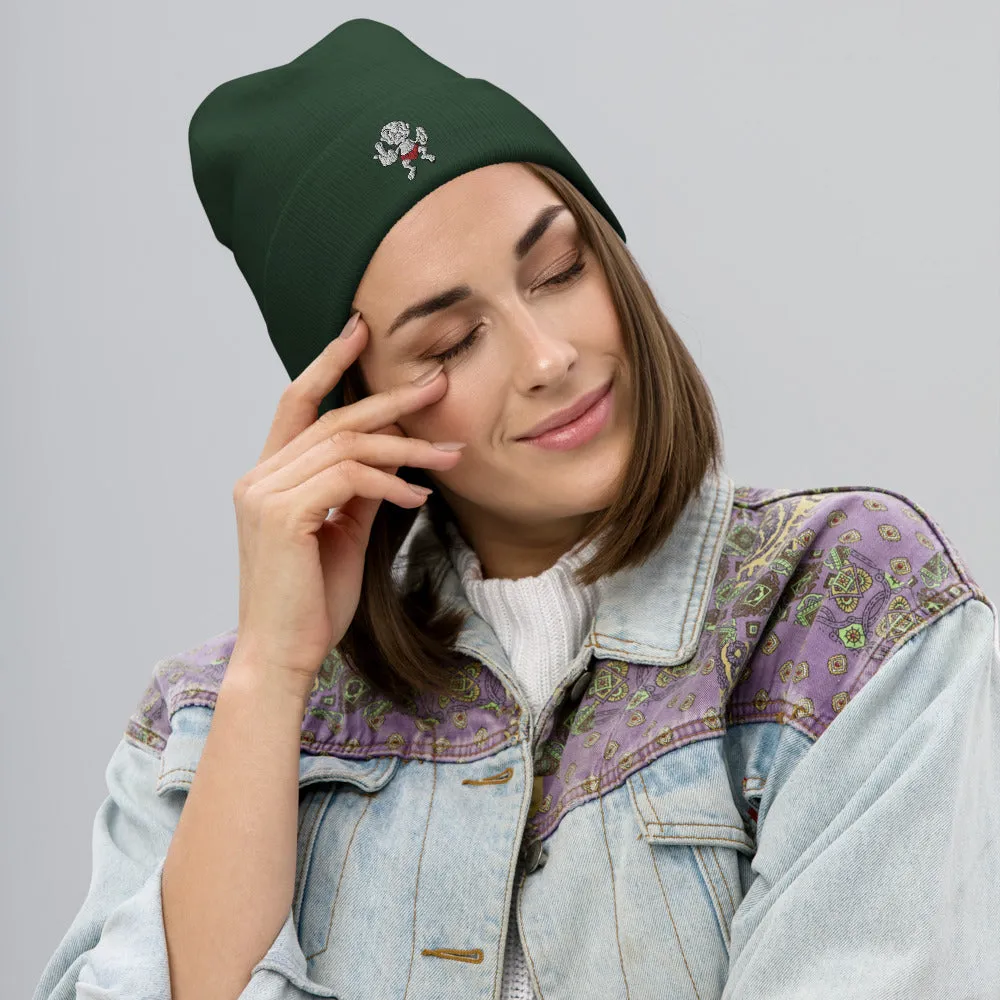 VIS LE Embroidered Beanie